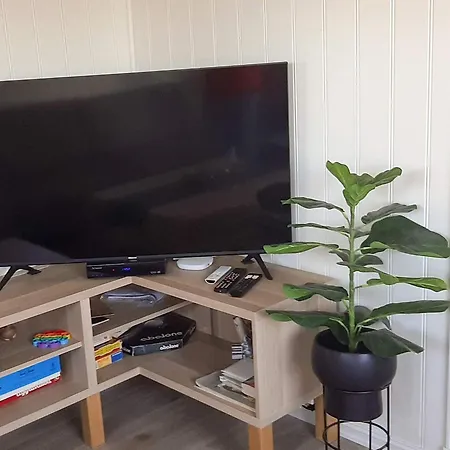 Feriehus 4 Person In Borhaug, Cleaning Included *